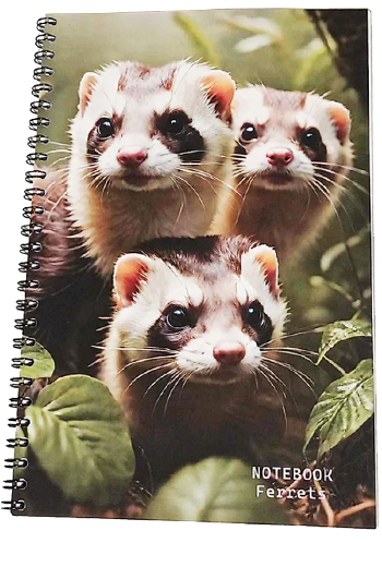 Ferrets wire-bound cover